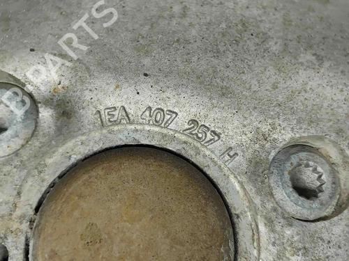 Left front steering knuckle SKODA ENYAQ iV SUV (5AZ) 60 | BP29486685M25 