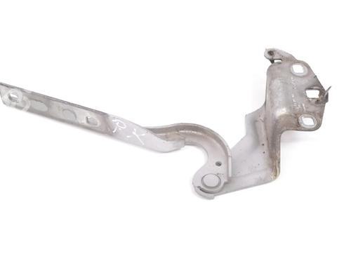 Used Hinge/Door check strap VW PASSAT CC B6 (357) 2.0 TDI (163 hp) 30220421