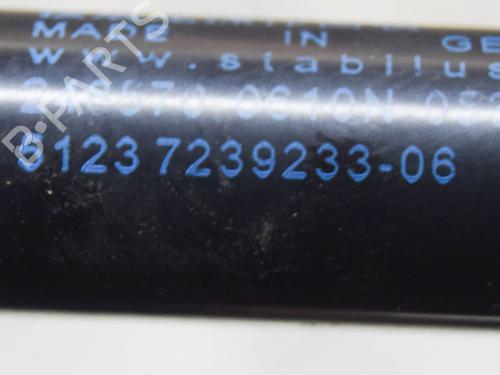Hood lift support BMW 1 (F20) M 135 i | BP14622458C139 