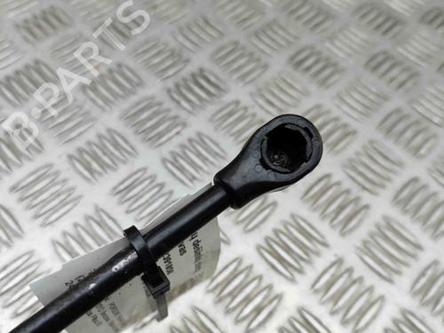 Hinge/Door check strap PORSCHE PANAMERA (970) 3.0 S E-Hybrid | BP29373494C146 