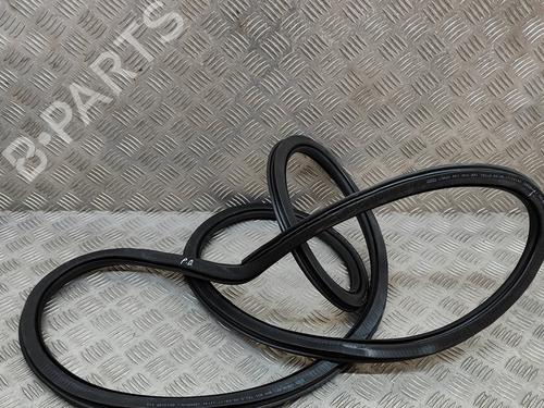 Rubber door seal AUDI Q5 (FYB, FYG) 2.0 TFSI quattro | BP16140532C142 