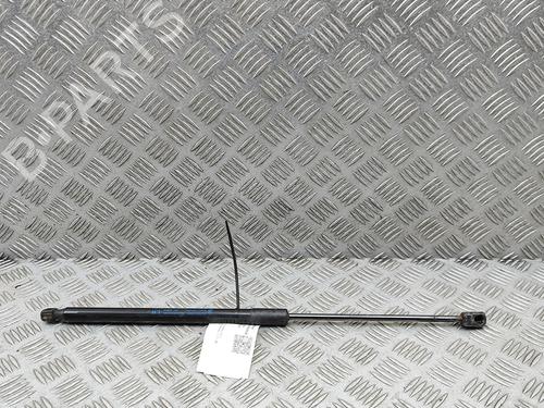Used Hood lift support Hood lift support FORD RANGER (TKE) 2.2 TDCi (131 hp) 35984112 35984112