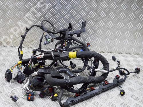 Used Wiring harness LAND ROVER DISCOVERY V (L462) D300 MHEV 4x4 (300 hp) 28430438