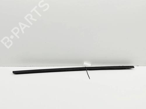 Dørliste TESLA MODEL 3 (5YJ3) EV | BP36327091C150 - Image 3