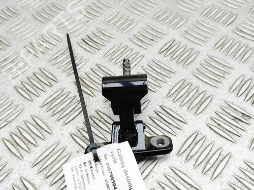 Hinge/Door check strap AUDI Q6 E-TRON (GFB) e-tron quattro | BP37445148C146 - Image 4