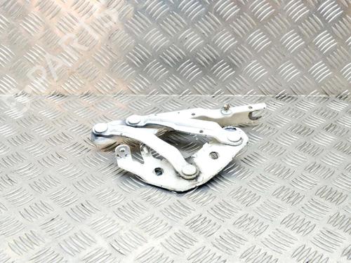 Hinge/Door check strap AUDI A1 (8X1, 8XK) 1.4 TFSI | BP14624192C146