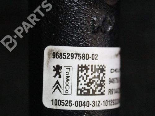 Einspritzleiste für CITROËN C3 II (SC_) 1.6 HDi (92 hp) 6724628