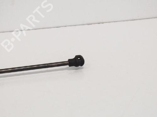 Hood lift support RENAULT CAPTUR I (J5_, H5_) 1.5 dCi 90 (J5N4, J5M5, J5MW, J5M6, J5AL, J5AJ) | BP14663935C139 