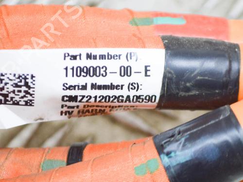 Wiring harness TESLA MODEL 3 (5YJ3) EV AWD | BP27763259E16