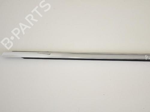 Door moulding trim VW PASSAT B7 (362) 2.0 TDI | BP30247739C150 