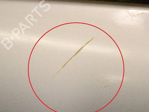 Left front door CITROËN C3 Pluriel (HB_) 1.6 | BP9510101C2 