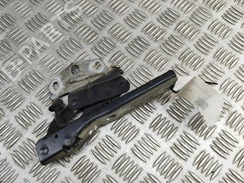 Hinge/Door check strap VW PASSAT B7 Variant (365) 1.6 TDI | BP27267281C146 