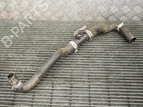 Pipe NISSAN JUKE (F15) 1.5 dCi | BP14667445M125