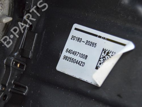 Steering wheel PEUGEOT 2008 II (UD_, US_, UY_, UJ_, UR_, UC_) 1.2 PureTech 100 (USHNK) | BP11042066C49 