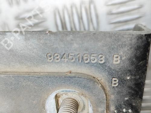 Hinge/Door check strap OPEL VIVARO B Bus (X82) 1.6 CDTI (06) | BP32061307C146 