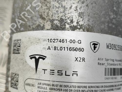 Right rear shock absorber TESLA MODEL X (5YJX) P100D AWD | BP34443588M19  - Image 6