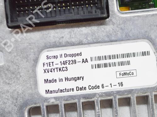 Display monitor FORD FOCUS III 1.0 EcoBoost | BP15082149C48 