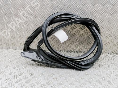 Gummiliste TESLA MODEL 3 (5YJ3) EV | BP38466981C142 - Image 4