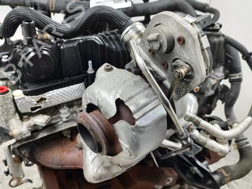 Engine FORD TRANSIT V363 Van (FCD, FDD) 2.0 EcoBlue | BP30130703M1