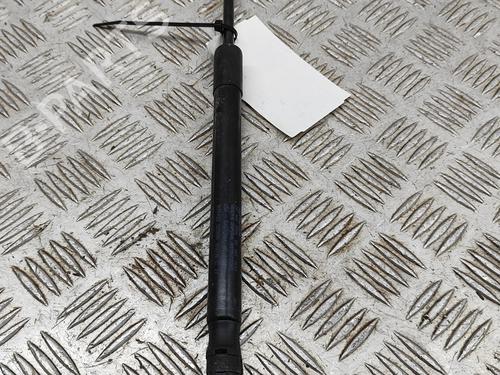Used Hood lift support TESLA MODEL 3 (5YJ3) EV AWD (351 hp) 27799724
