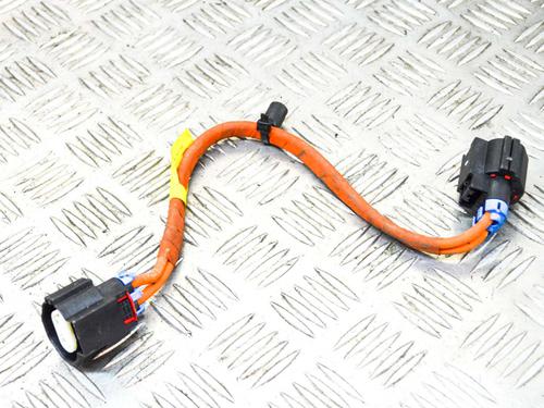 Wiring harness TESLA MODEL S (5YJS) P100D AWD | BP14628592E16 