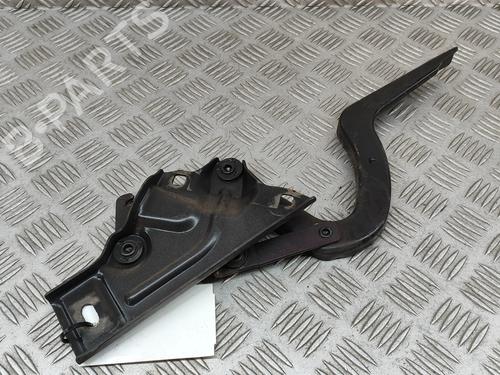Hinge/Door check strap MERCEDES-BENZ S-CLASS Saloon (W108, W109) 280 S (108.016) | BP23865533C146 
