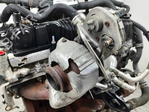 Engine FORD TRANSIT V363 Van (FCD, FDD) 2.0 EcoBlue | BP30130703M1