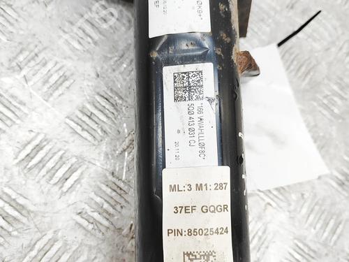 Left front shock absorber VW GOLF VIII (CD1, DA1) 2.0 TDI GTD | BP31715324M16