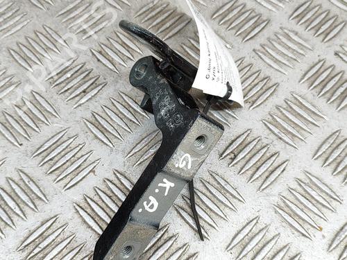 Hinge/Door check strap VOLVO XC40 (536) T3 | BP28431009C146 
