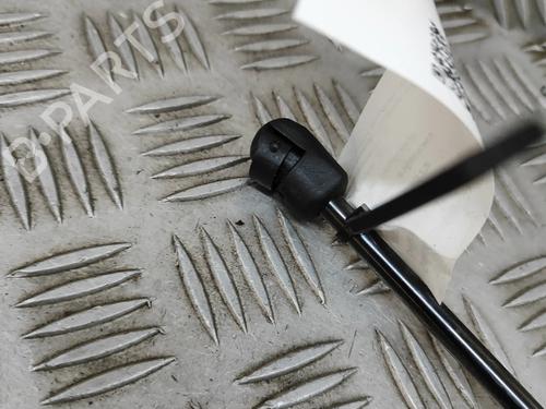 Tailgate lift support CUPRA FORMENTOR (KM7, KMP) 1.4 e-Hybrid | BP28612184C138 