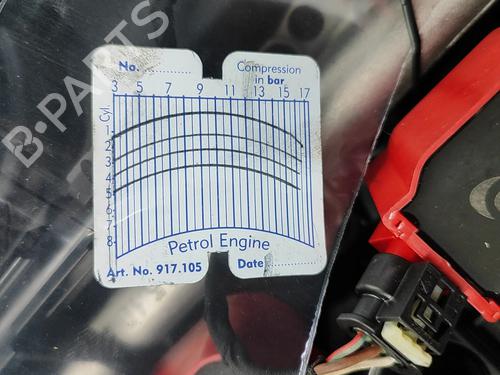 Engine BMW 3 (G20, G80, G28) 330 e Plug-in-Hybrid | BP30108255M1 