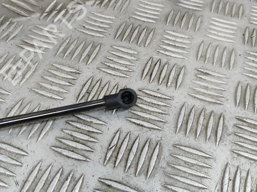 Hood lift support LEXUS NX (_Z1_) 300h AWD (AYZ15_, AYZ15R) | BP27789979C139