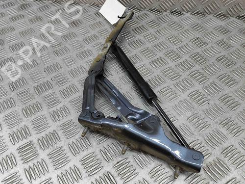 Hinge/Door check strap TESLA MODEL 3 (5YJ3) EV AWD | BP27792023C146 