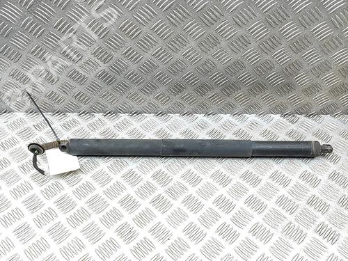 Used Tailgate lift support Tailgate lift support AUDI A5 Sportback (F5A, F5F) 2.0 TFSI quattro (252 hp) 33387523 33387523