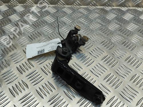 Used Hinge/Door check strap VW TRANSPORTER T6 Van (SGA, SGH, SHA, SHH) 2.0 TDI (90 hp) 29920529