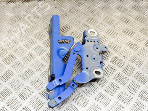 Hinge/Door check strap BMW 3 Touring (F31) 335 d xDrive | BP14631333C146 