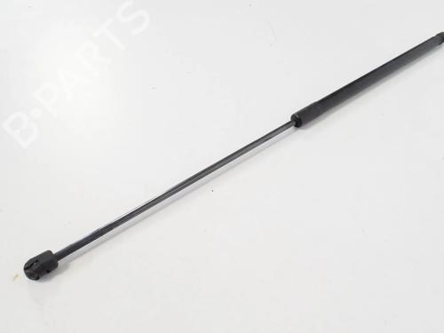 hood-lift-support-opel-insignia-a-g09-2008-2009-2010-2011-2012-2013-2014-2015-2016-2017-30266521 main image