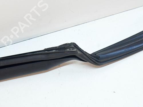 Gummiliste TESLA MODEL S (5YJS) 60 | BP14627547C142 