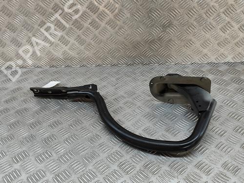 Hinge/Door check strap BMW 7 (F01, F02, F03, F04) 730 d | BP25218156C146 