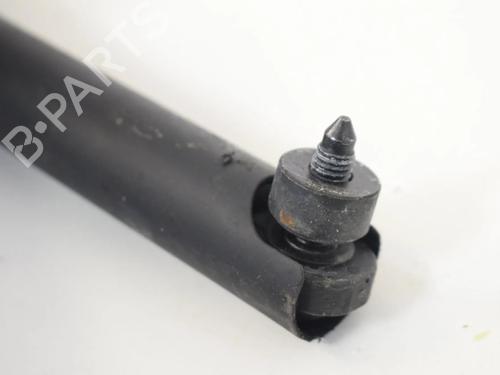 Tailgate lift support BMW X5 (F15, F85) xDrive 30 d | BP30208659C138