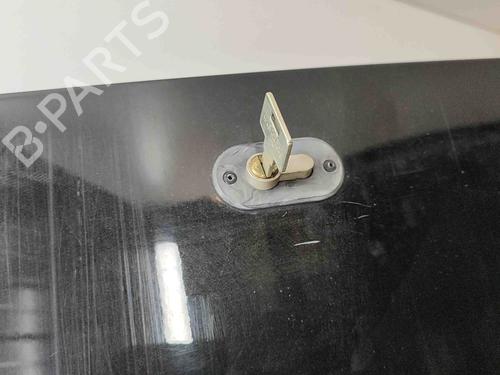 Left slide door OPEL MOVANO B Van (X62) 2.3 CDTI FWD (FV) | BP29403855C74 