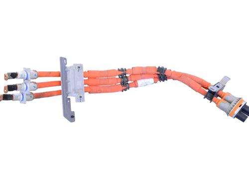 Ledningsnet POLESTAR POLESTAR 2 (534) EV | BP30253028E16