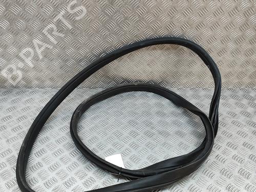 Rubber door seal TESLA MODEL X (5YJX) P100D AWD | BP25217854C142 