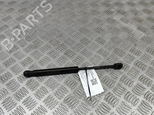 Used Hood lift support LAND ROVER RANGE ROVER EVOQUE (L538) 2.0 D 4x4 (180 hp) 24975785