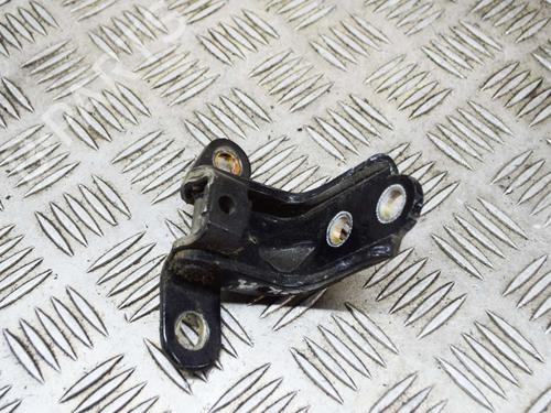 Hinge/Door check strap KIA SPORTAGE II (JE_, KM_) 2.0 16V 4WD | BP14639674C146