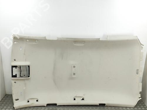 Used Interior roof VW PASSAT B8 Variant (3G5, CB5) 2.0 TDI (150 hp) 29829992