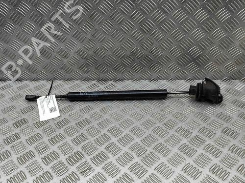 Hinge/Door check strap PORSCHE PANAMERA (970) 3.0 S E-Hybrid | BP29373496C146