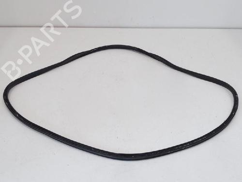 Used Rubber door seal TESLA MODEL S (5YJS) 75D AWD (525 hp) 20232936