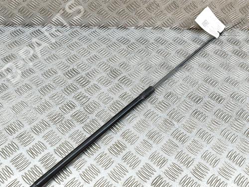 Hood lift support VW GOLF VII (5G1, BQ1, BE1, BE2) e-Golf | BP19284117C139 