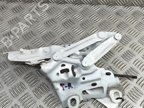 Hinge/Door check strap BMW X1 (U11) iX1 xDrive 30 | BP28563668C146 